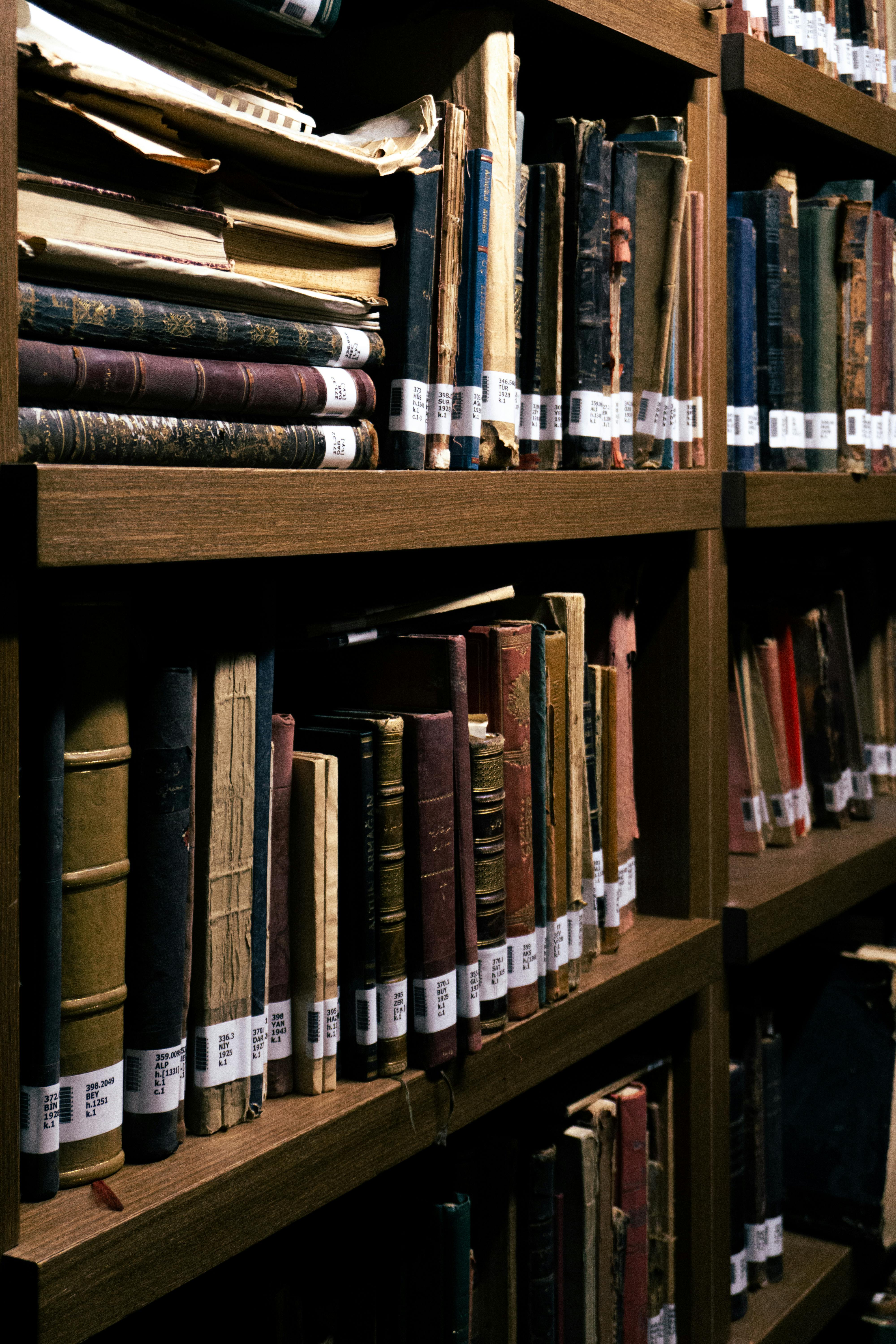 Historical artifacts and documents representing our preservation work